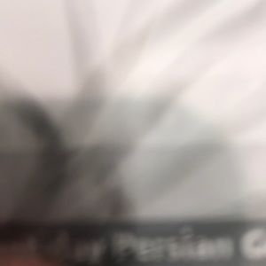 Meet your Posher, Lord